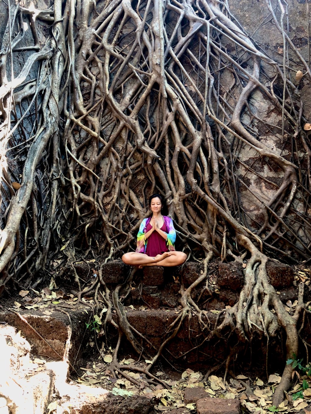 Dendrophile // Tree&nbsp;Hugger